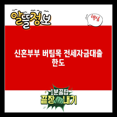 You are currently viewing 신혼부부 버팀목 전세자금대출 한도